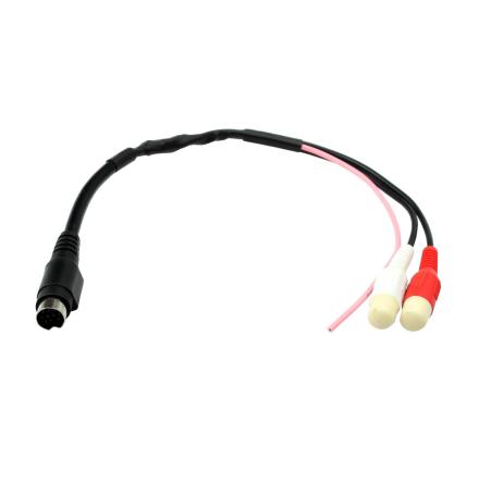 AUX In Mini 10 Pin 2 RCA